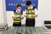 国产人人看,引领潮流的国产影视平台解析
